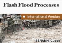 Flash Flood Processes: International Edition