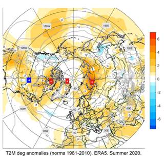 northERA_t2m_n81_Summer_2020_stereo.png